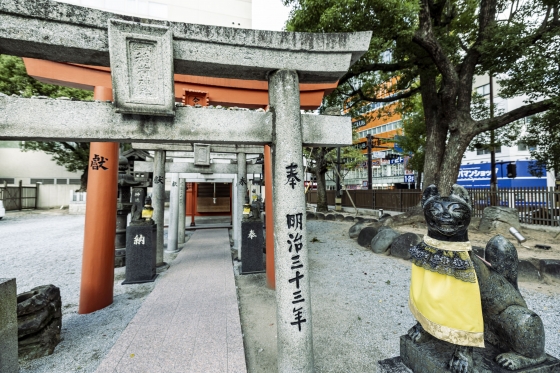 main_img